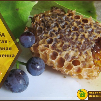 Пчеловодство, производство меда, продукты пчеловодства, фермерские продукты