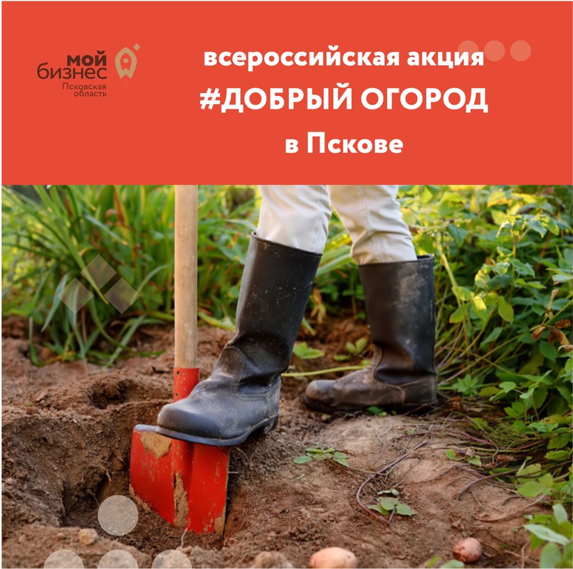 Присоединиться к реализации проекта #Добрый огород можно на сайте www.dobro-ogorod.ru.
