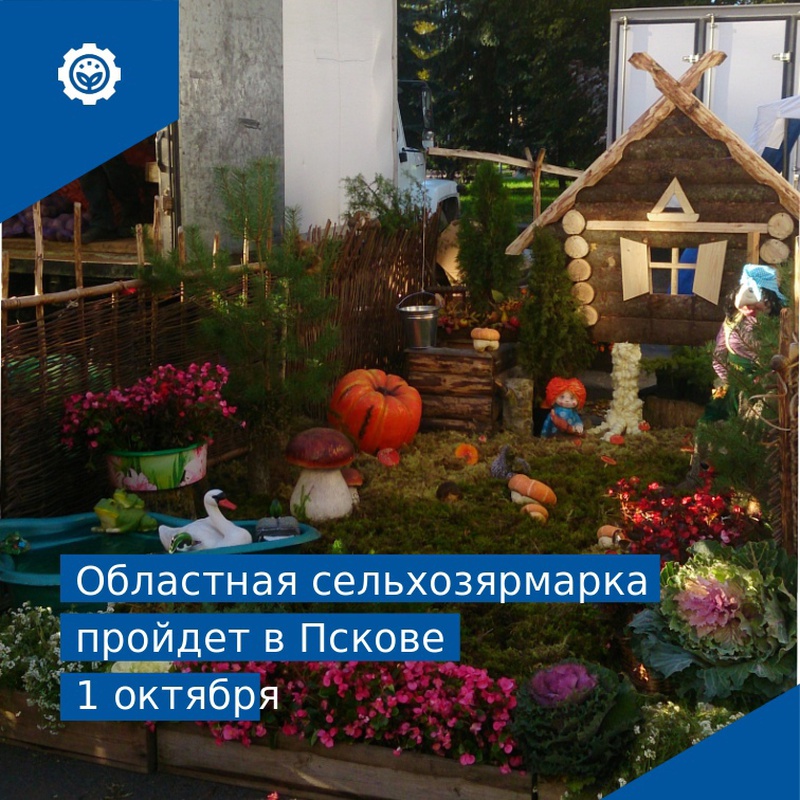 1 октября на Октябрьской площади Пскова пройдет областная сельскохозяйственная ярмарка «Осень 2022».