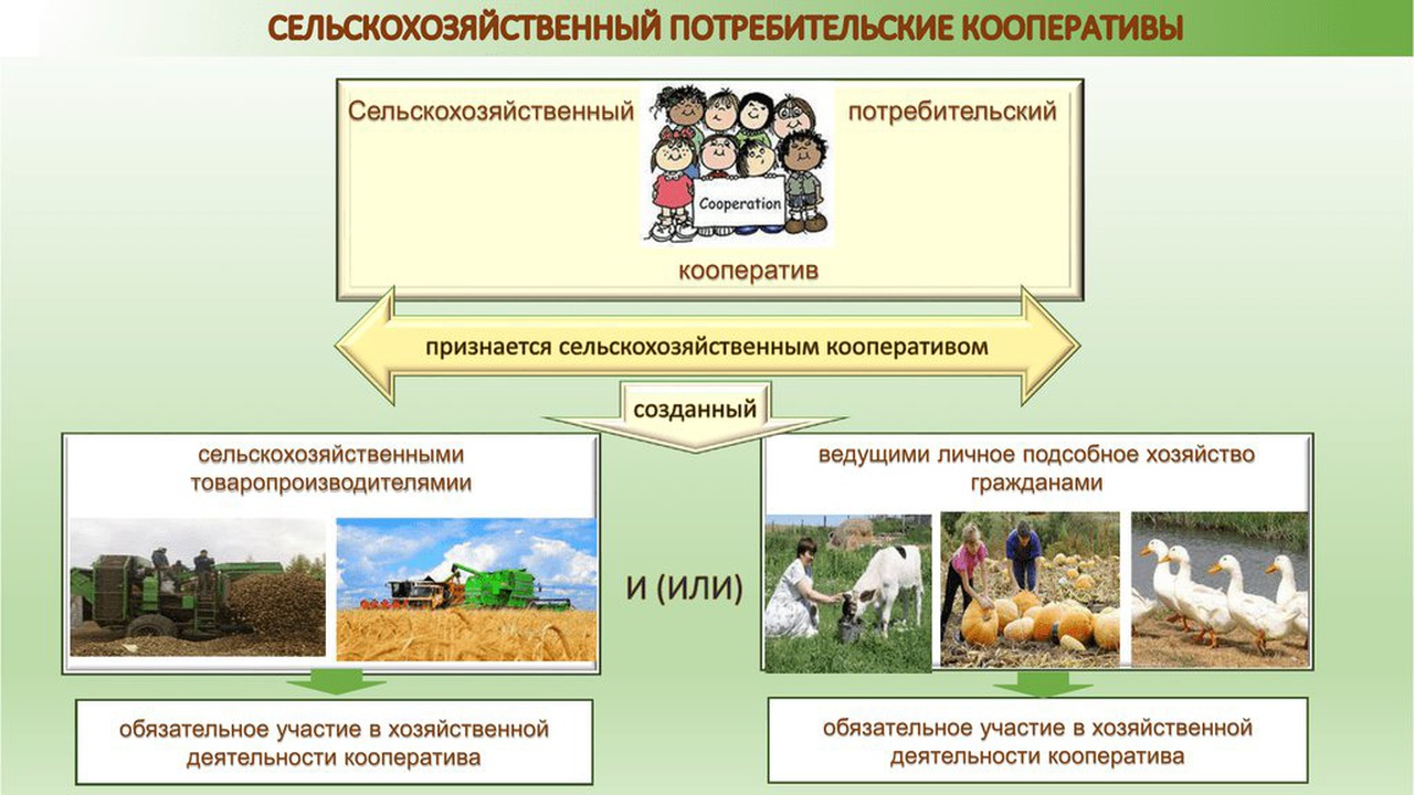 Видео установочных лекций РСО "Агроконтроль" по базовым вопросам сельскохозяйственной потребительской кооперации.