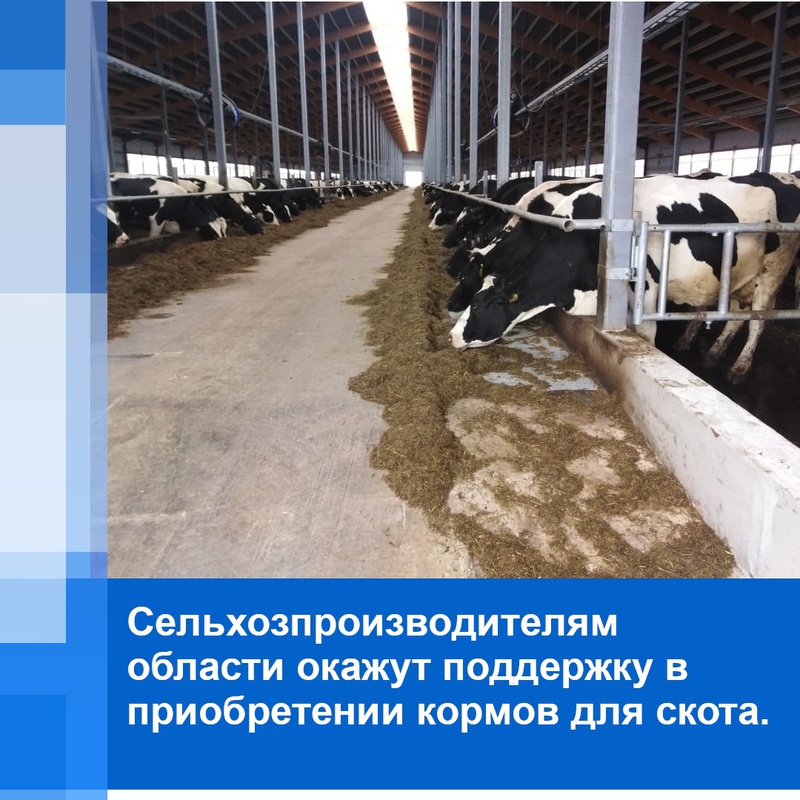 Псковской области в ближайшее время планируется ввести дополнительную государственную меру поддержки для сельхозтоваропроизводителей - возмещение части затрат на приобретение кормов для молочного крупного рогатого скота.